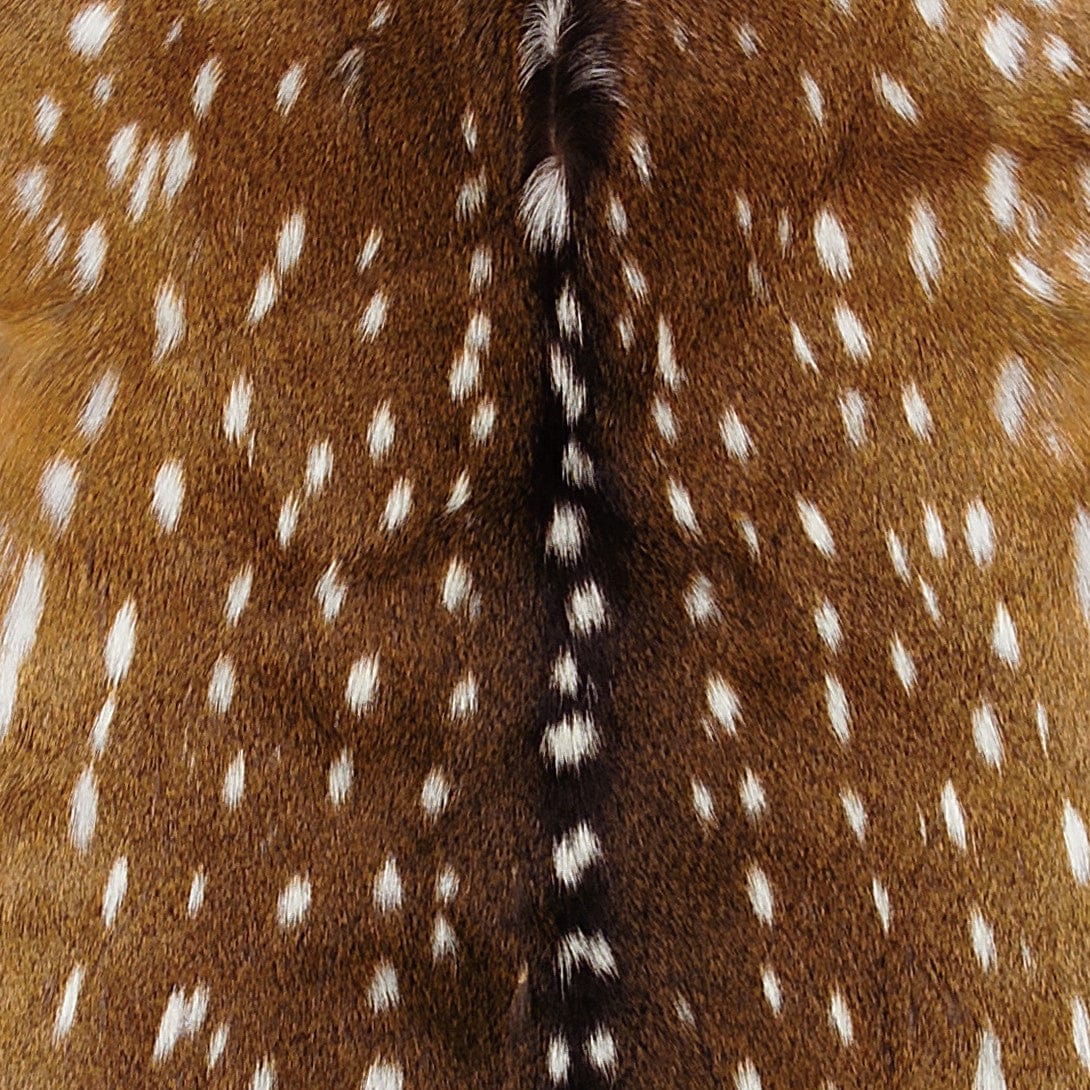 Axis Deer Hide, Custom Upholstery